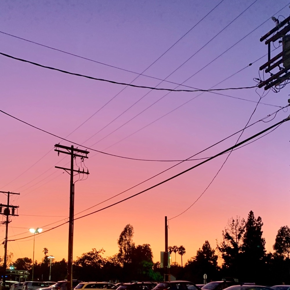 Meet your Posher, Stella